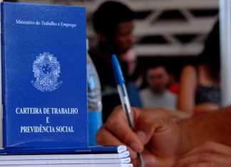 santa catarina empregos saldo vagas de trabalho