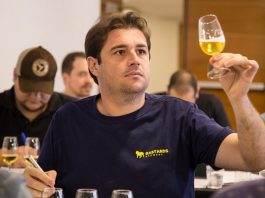 Homem levanta copo de cerveja para olhar a cor contra a luz