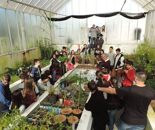 Jardim botânico de São José promove curso gratuito sobre plantas medicinais alunos acompanham explicações de um professor reunidos dentro de uma estufa