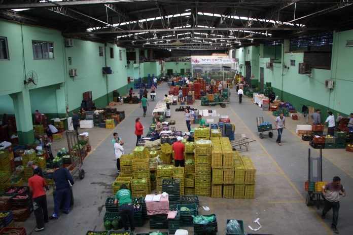 ceasa sao jose foto lucas cervenka correio sc Vista de cima de comerciantes entre caixas de legumes, frutas e verduras