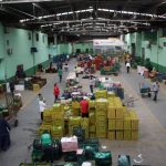 Vista de cima de comerciantes entre caixas de legumes, frutas e verduras