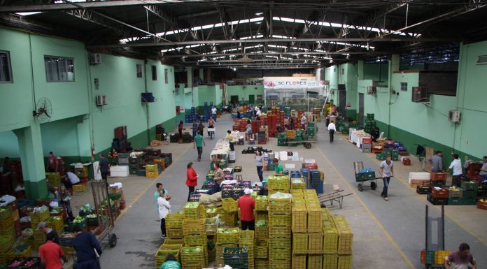 Vista de cima de comerciantes entre caixas de legumes, frutas e verduras