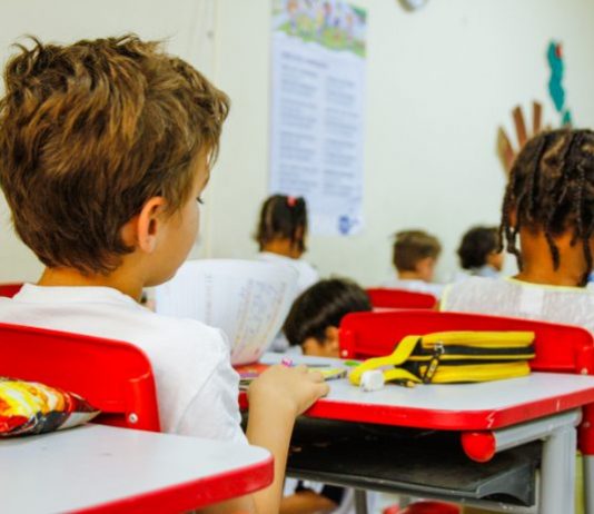 crianças sentadas em carteiras na sala de aula, vista de costas