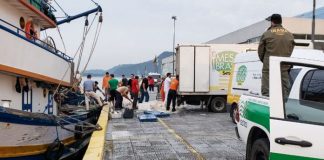 em pequeno cais um barco ancorado à esquerda com um caminhão estacionado à direita e pessoas recolhendo pescado