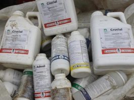 Câmara dos Deputados aprova facilitação de agrotóxicos; como votaram os deputados de SC pilha de embalagens de agrotóxicos onde há vários escritos nos vasilhames e símbolos de caveira
