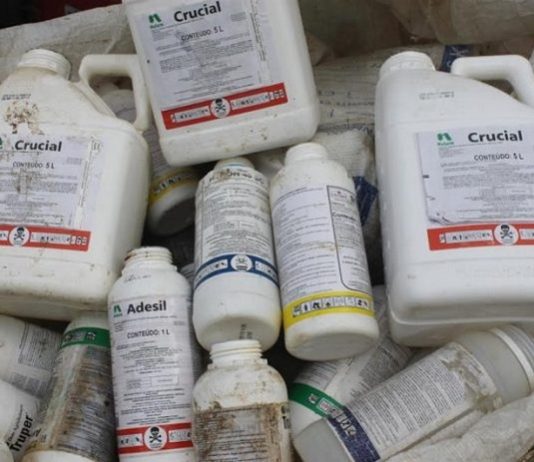pilha de embalagens de agrotóxicos onde há vários escritos nos vasilhames e símbolos de caveira