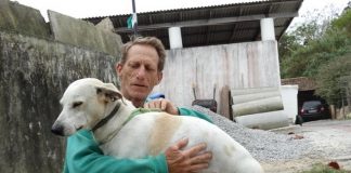Homem abraça um cão branco de porte médio usando uma coleira