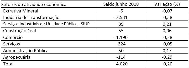 tabela mostrando os saldos de empregos em cada setor da economia estadual