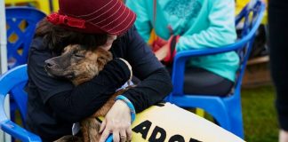 mulher sentada em cadeira abraça cachorro grande em seu colo usando uma roupa onde se lê "adote"