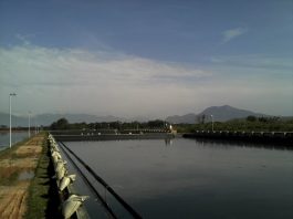 grande área inundada formando uma lagoa, onde há um pequeno caminho reto à esquerda, com postes
