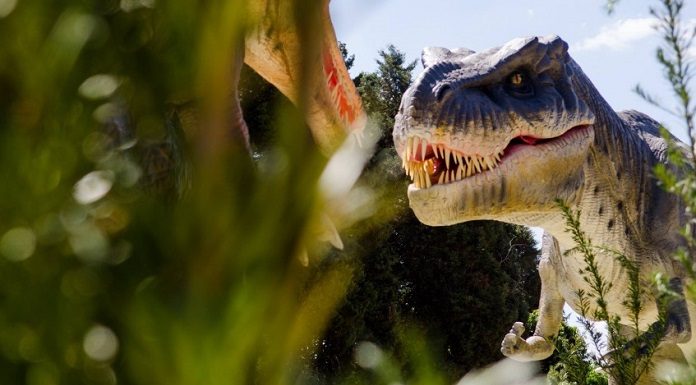 reproduçaõ realista de um dinossauro carnívoro no meio da vegetação