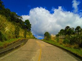 estrada de cimento vista de baixo e do meio da pista que sobe um pequeno morro com árvores
