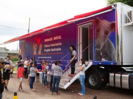 Prefeitura de Florianópolis abre cadastramento para castração de cães no bairro Rio Vermelho