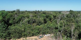foto aérea de grande área desmatada ao lado de vasta floresta amazônica; duas caminhonetes do ibama estacionadas na grande clareira