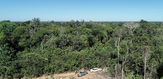 200 mil campos de futebol: esse é o cenário atual do desmatamento no Brasil foto aérea de grande área desmatada ao lado de vasta floresta amazônica; duas caminhonetes do ibama estacionadas na grande clareira