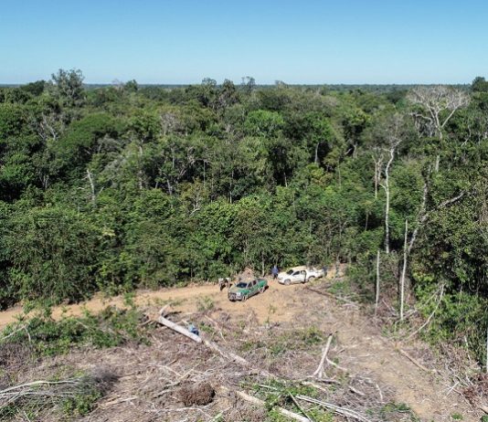 foto aérea de grande área desmatada ao lado de vasta floresta amazônica; duas caminhonetes do ibama estacionadas na grande clareira