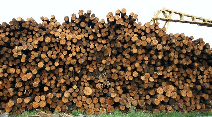 grande pilha de madeiras cortadas vistas pelo plano da intersecção