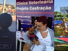 Mais serviços e projetos são ofertados nos bairros de São José composição de três fotos mostrando guarda municipal, castração de cães e criança brincando em pula pula em uma praça
