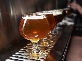 taças com cervejas de cores diferentes alinhas em prateleira de chopeira