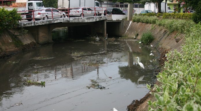 foto de um trecho do rio escuro; há uma garça na margem e uma ponte que passa sobre o rio, onde há alguns carros e placas da prefeitura (logo antigo) no guarda-corpo