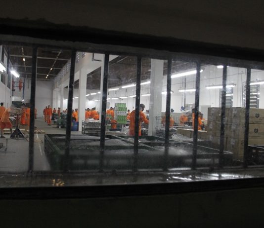 vista através de uma janela com grande de detentos uniformizados trabalhando em um salão
