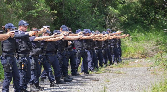 agentes lado a lado empunham as armas em um terreno baldio