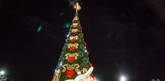 decoração de natal com árvores e outras instalações em uma praça