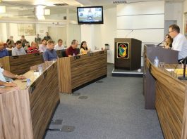 veradores em sessão no plenário da câmara