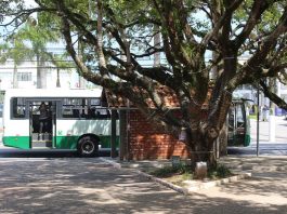 ônibus da jotur parado atrás de ponto de ônibus de tijolos em uma praça com árvores no centro de sj