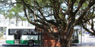 ônibus da jotur parado atrás de ponto de ônibus de tijolos em uma praça com árvores no centro de sj