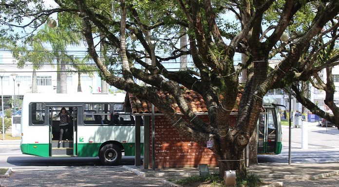 ônibus da jotur parado atrás de ponto de ônibus de tijolos em uma praça com árvores no centro de sj