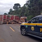 caminhonete da prf estacionada no meio da rodovia em frente a um caminhão carregado de toras tombado