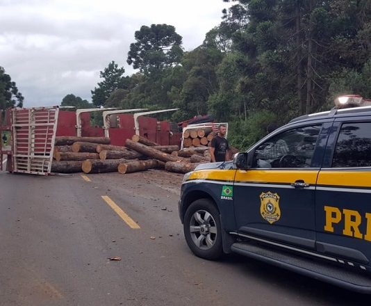 caminhonete da prf estacionada no meio da rodovia em frente a um caminhão carregado de toras tombado