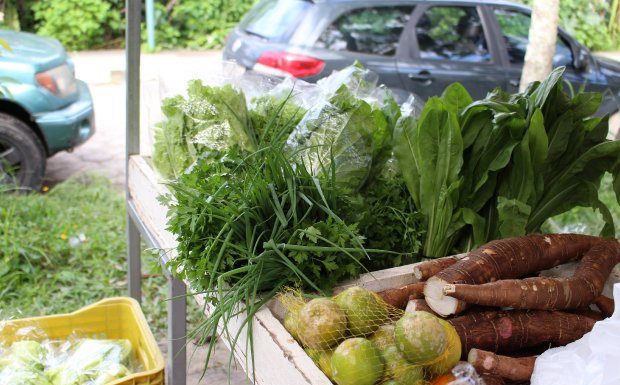 diversos alimentos, entre verduras e legumes, expostos em caixas em barraca de feira