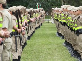 agentes enfileiradas de uniforme em um gramado