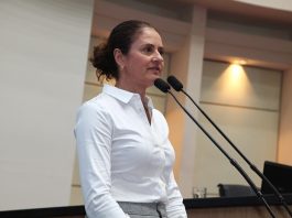 deputada falando aos microfones da tribuna da alesc, vista de lado