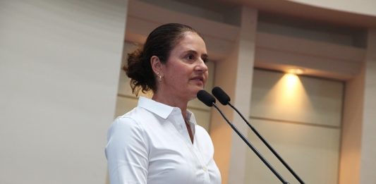 deputada falando aos microfones da tribuna da alesc, vista de lado