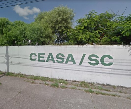 Dois bandidos que espancaram mulher em assalto são mortos pela PM Depois que agrediram a vítima, assaltantes fugiram para terreno ao lado da Ceasa, onde foram mortos em confronto com a PM - Imagem: Google/Reprodução