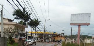 Abalroamento de poste na Av. Rio Grande deixou as residências às escuras até à noite deste domingo - Foto: Celesc/Divulgação