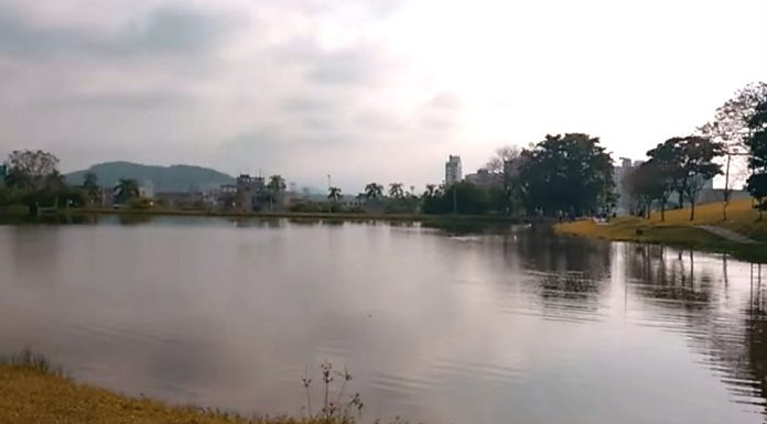 Patos do lago Pedra Branca morreram pela contaminação com a bactéria Clostridium botulinum, causadora do botulismo - Foto: Divulgação