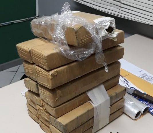 Polícia Civil faz apreensões em cinco municípios da Grande Florianópolis Nesta terça, em cinco municípios – São José, Florianópolis, Palhoça, Santo Amaro da Imperatriz e Tijucas –, foram presas oito pessoas a apreendidos 20 kg de maconha - Foto: PC