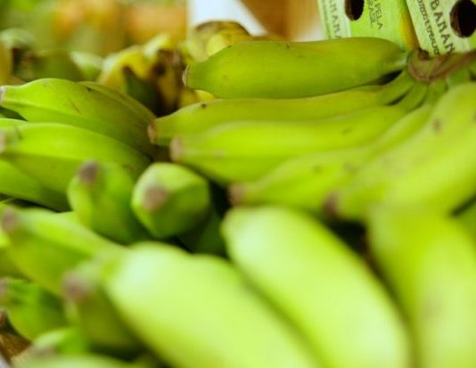 Na semana dos orgânicos, destaca-se que Santa Catarina é o quarto produtor nacional de orgânicos. com crescimento de 13% entre 2017 e 2018 de unidades cadastradas - Foto: Guilherme Martimon/Mapa/Divulgação