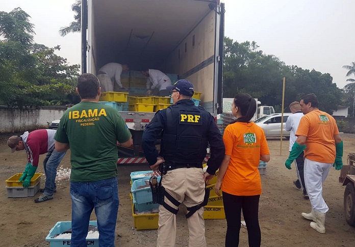 carga de 10 ton de arraias apreendida em joinville sc