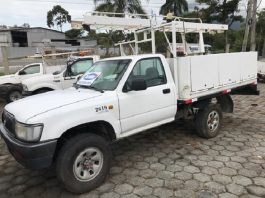 leilão de 40 veículos da celesc