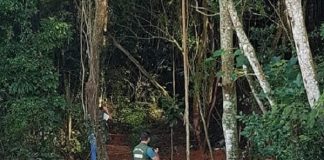 invasões em áreas verdes em coqueiros e itaguaçu florianópolis - foto floram