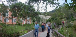 jardim sensorial do jardim botanico de sao jose abre em agosto