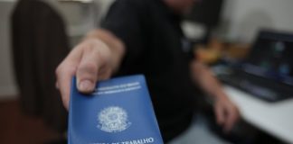 criacao de empregos formais em santa catarina no primeiro semestre 2019