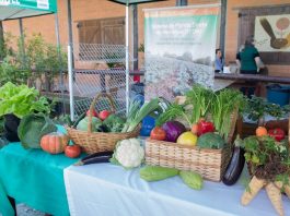 expo sao jose 2019 inicia sexta 5 ate domingo 7 no ctg os praianos