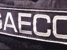 Operação Mensageiro apreendeu R$ 1,3 milhão e 15 pessoas seguem presas gaeco sc operacao triangulo das bebidas