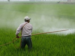 proibicao de agrotoxicos em sc divide opinioes